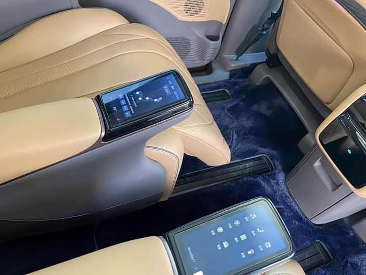 Фото 9 - Denza D9