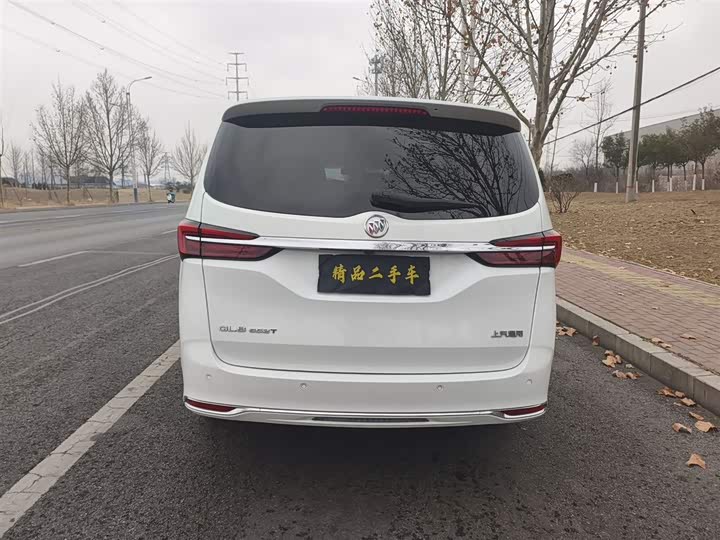 Фото 8 - Buick GL8 ES