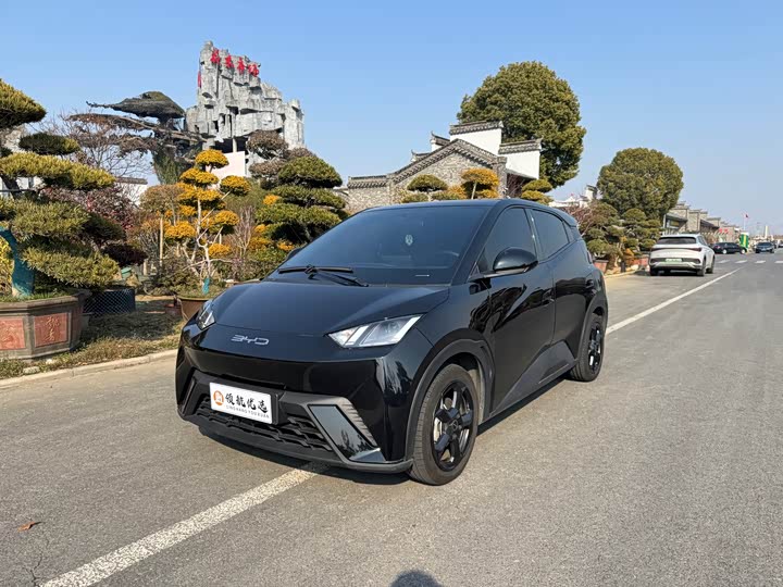 Фото 1 - BYD Seagull