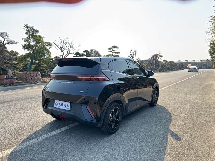 Фото 4 - BYD Seagull