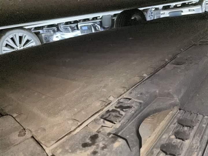 Фото 6 - Hongqi E-HS9