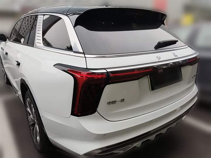 Фото 9 - Hongqi E-HS9