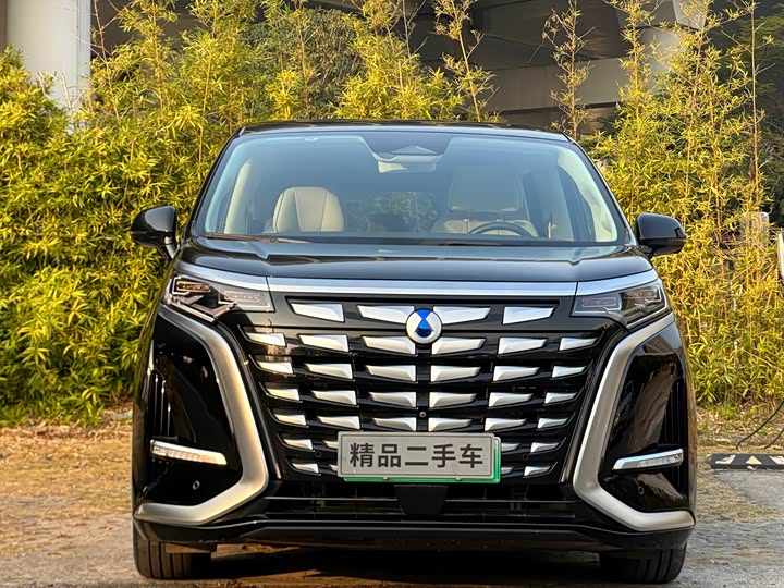 Фото 2 - Denza D9