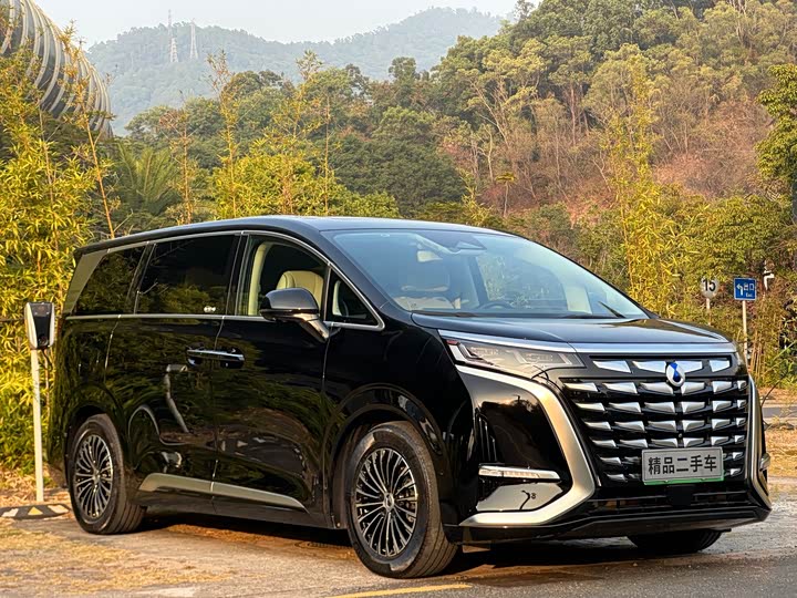 Фото 3 - Denza D9