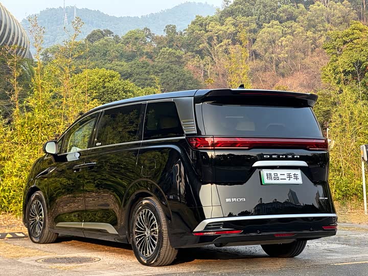 Фото 4 - Denza D9