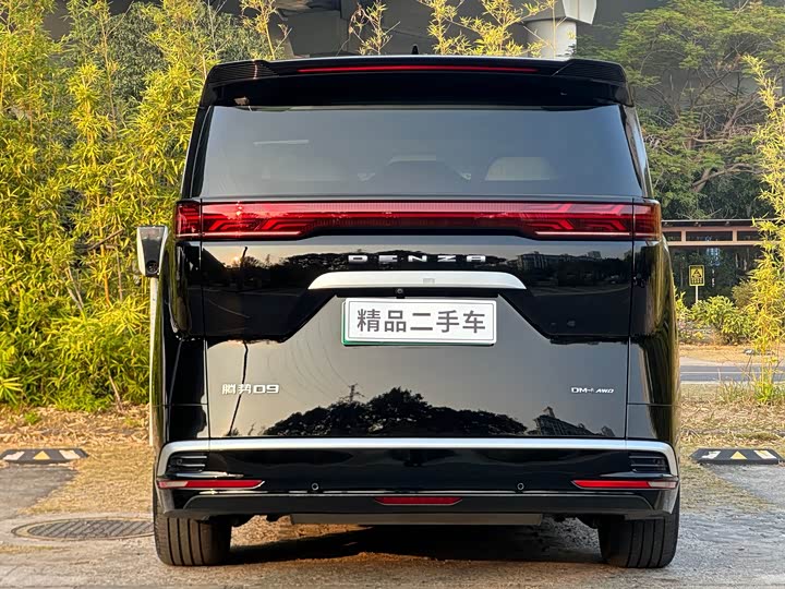 Фото 5 - Denza D9