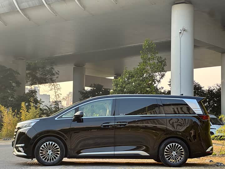 Фото 7 - Denza D9