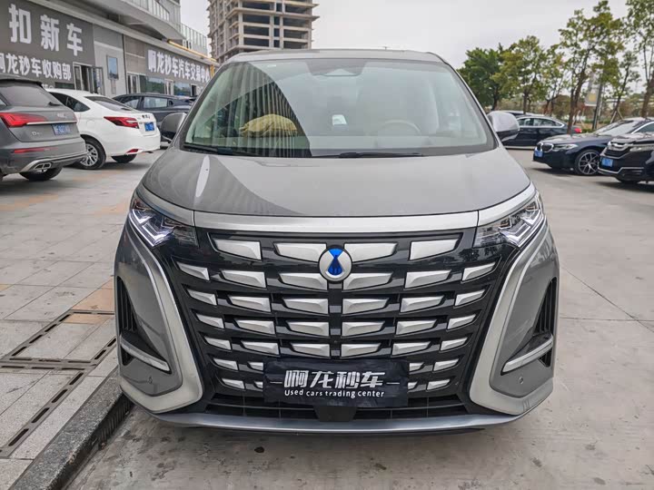 Фото 2 - Denza D9