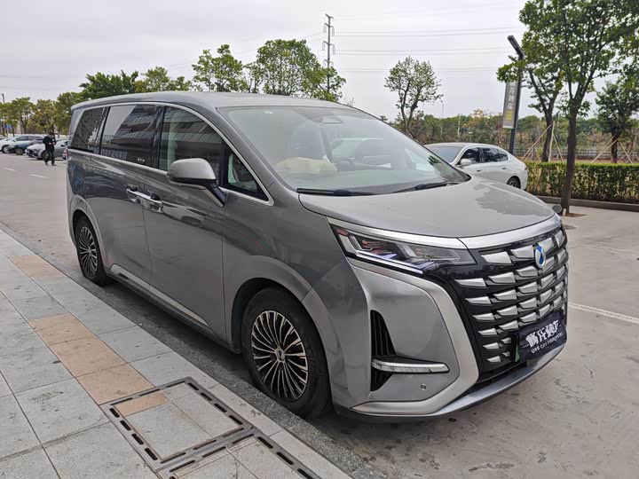 Фото 3 - Denza D9