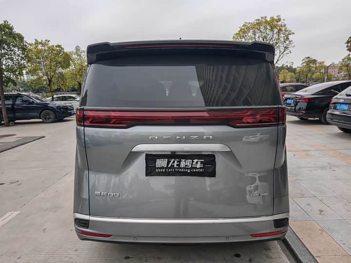 Фото 9 - Denza D9