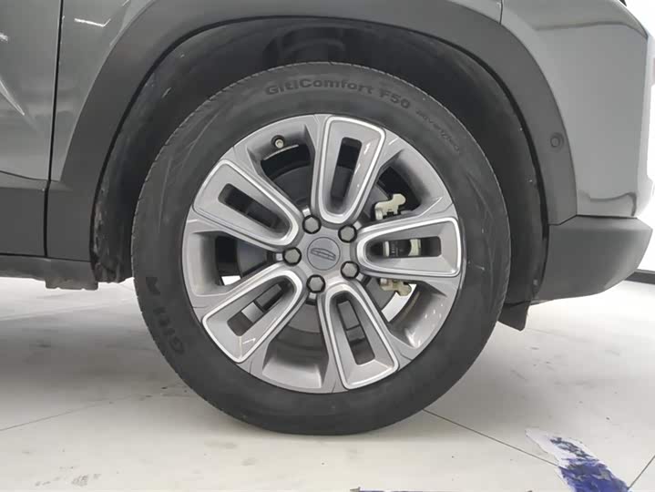 Фото 6 - Geely Icon