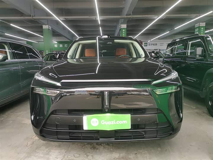 Фото 3 - Wey Lanshan