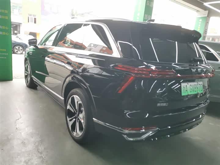 Фото 5 - Wey Lanshan