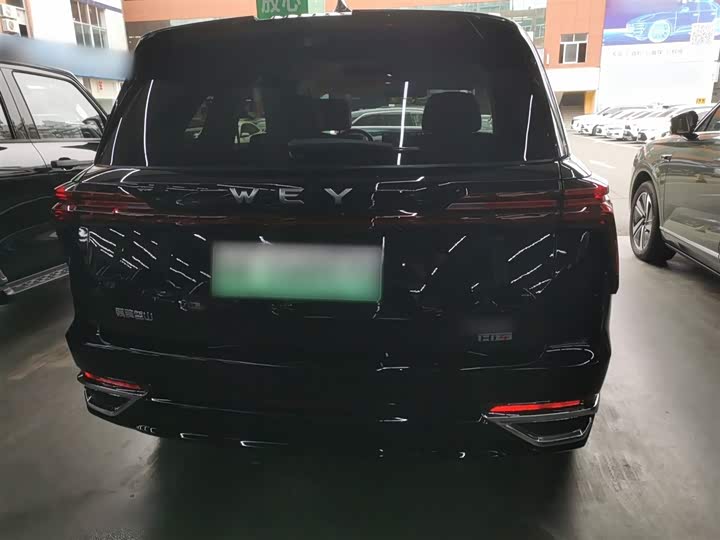 Фото 6 - Wey Lanshan