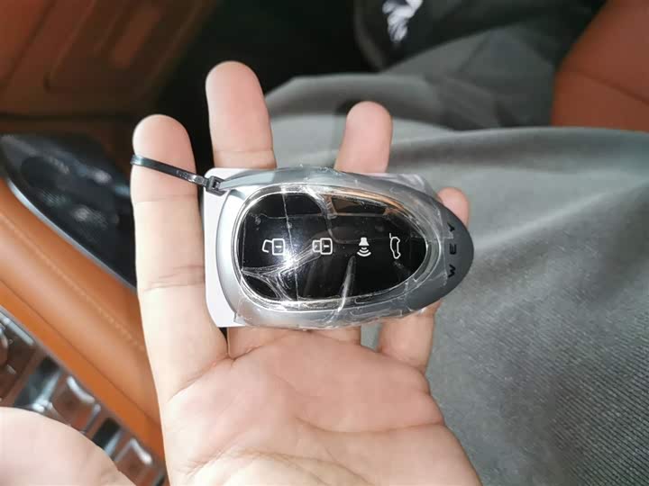 Фото 9 - Wey Lanshan