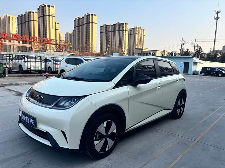 Фото 1 - BYD Dolphin