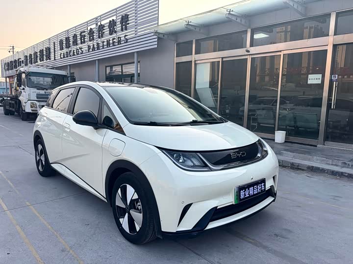 Фото 2 - BYD Dolphin