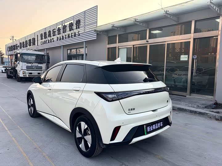 Фото 5 - BYD Dolphin