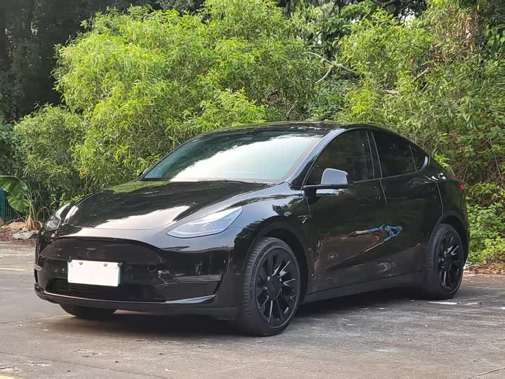 Фото 1 - Tesla Model Y