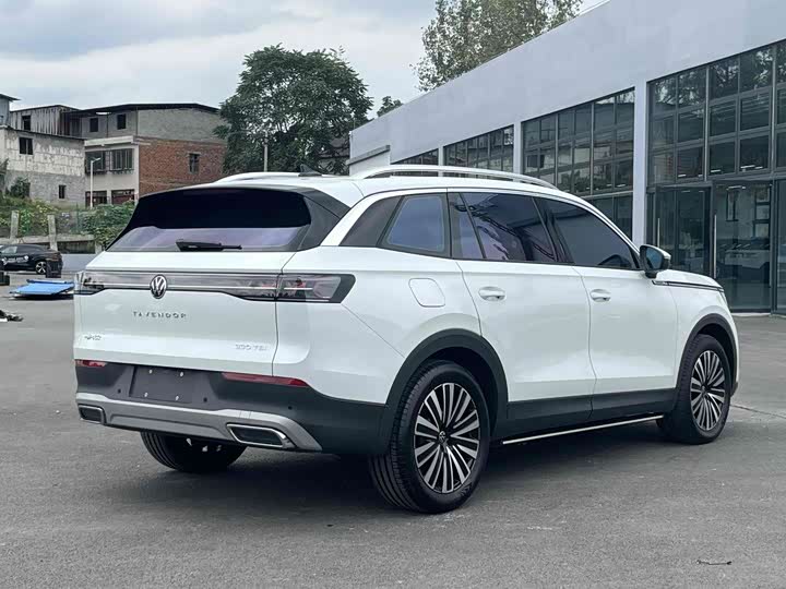 Фото 4 - Volkswagen Tavendor