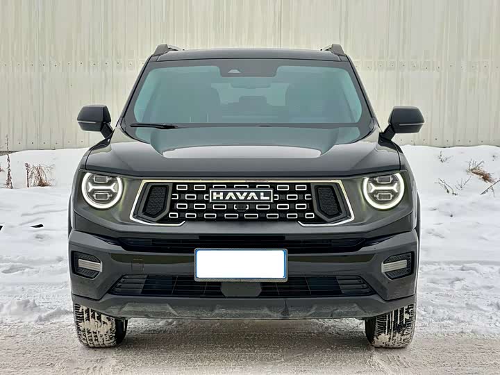 Фото 2 - Haval H-Dog