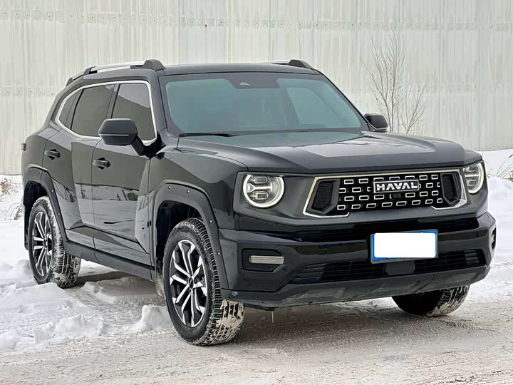 Фото 3 - Haval H-Dog