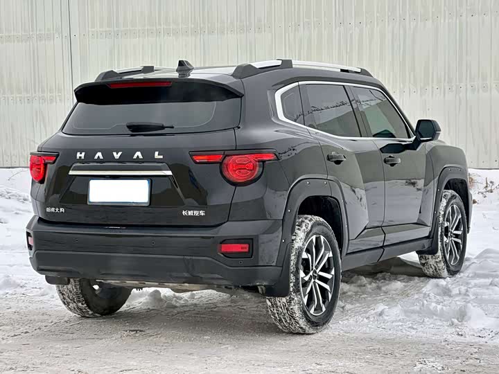 Фото 7 - Haval H-Dog
