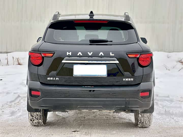 Фото 8 - Haval H-Dog