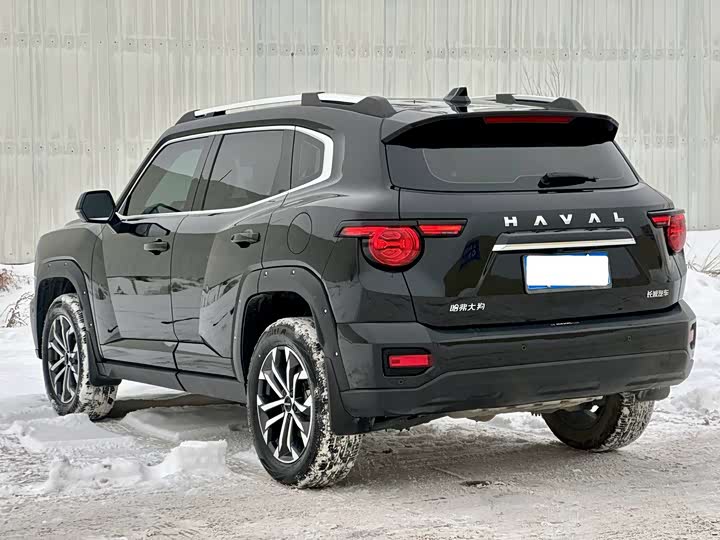 Фото 9 - Haval H-Dog