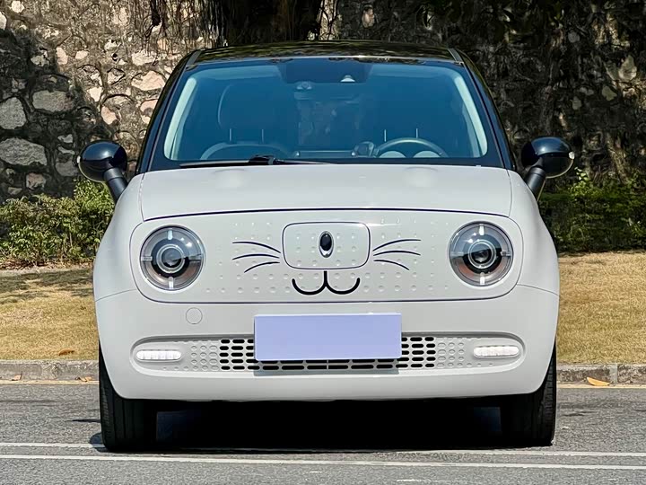 Фото 2 - Ora Black Cat