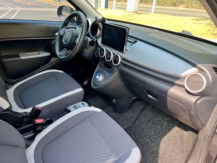 Фото 9 - Ora Black Cat