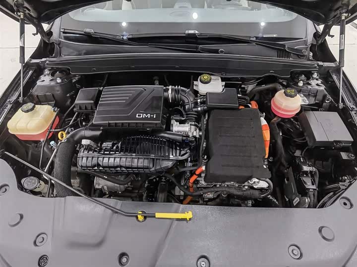 Фото 6 - BYD Qin Plus