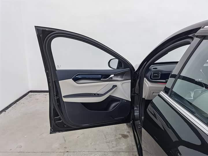 Фото 8 - BYD Qin Plus