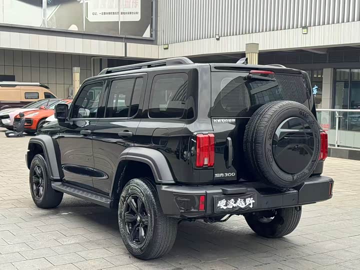 Фото 6 - Tank 300