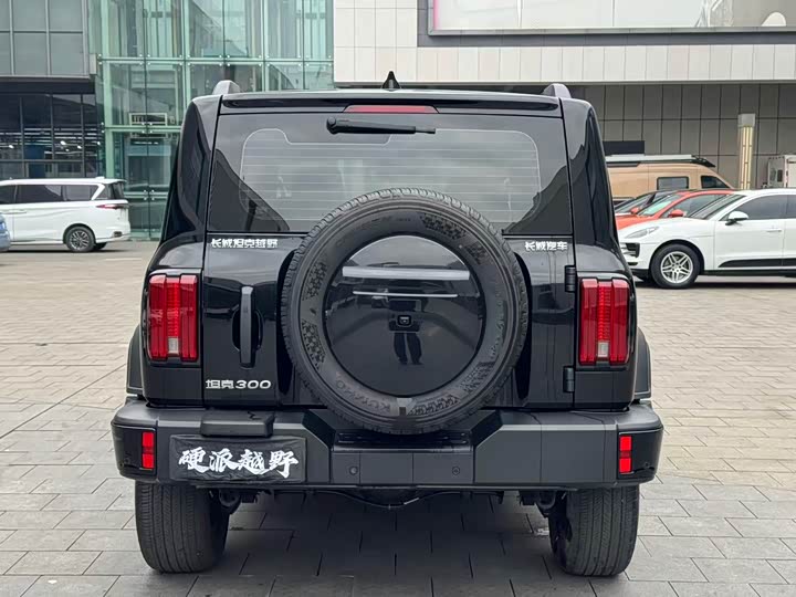 Фото 7 - Tank 300