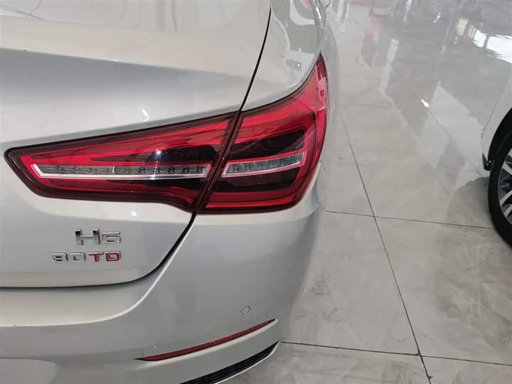 Фото 8 - Hongqi H5