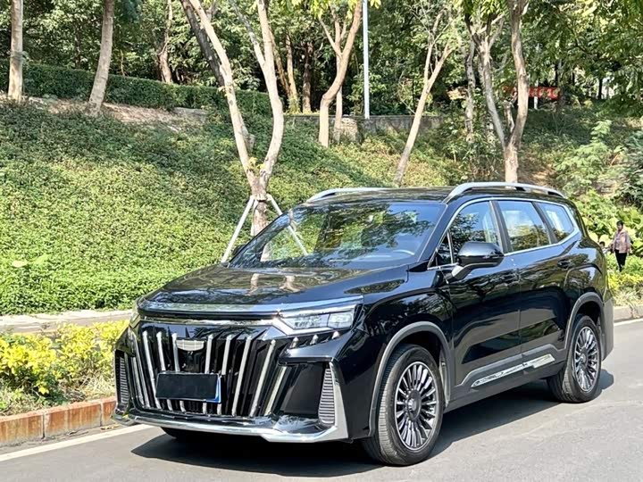 Фото 1 - Geely Okavango L