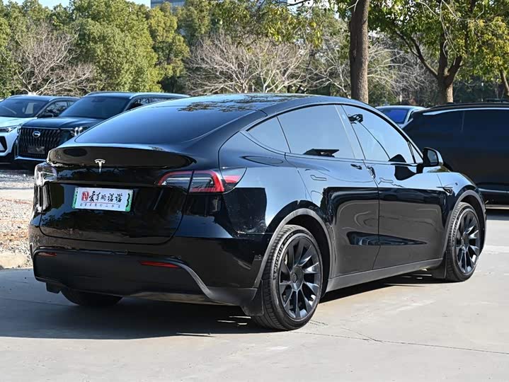 Фото 8 - Tesla Model Y