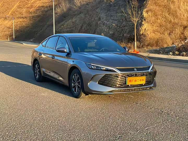 Фото 3 - BYD Qin L