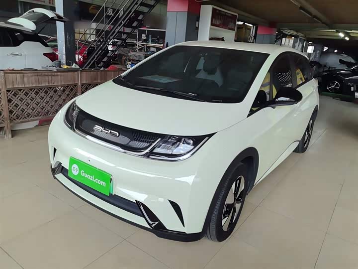Фото 1 - BYD Dolphin