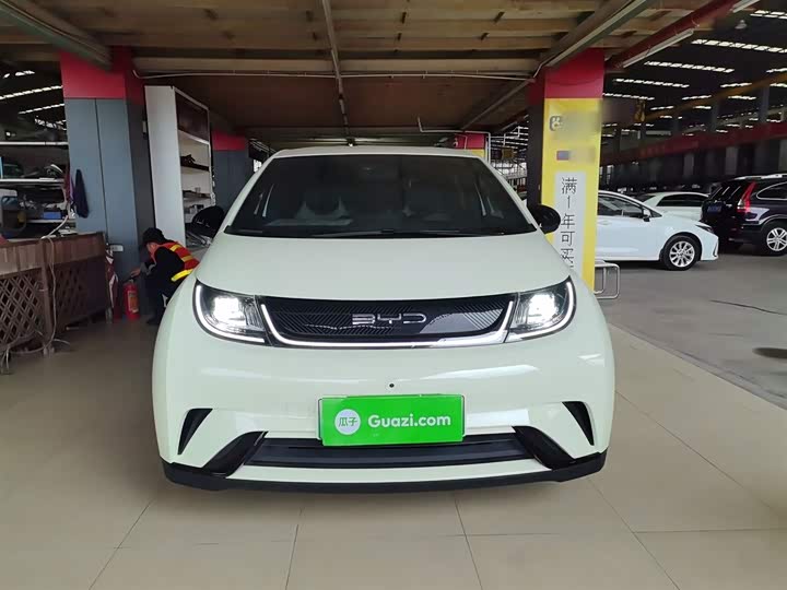 Фото 3 - BYD Dolphin