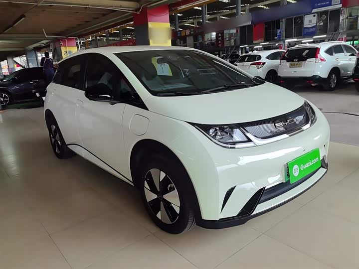 Фото 4 - BYD Dolphin