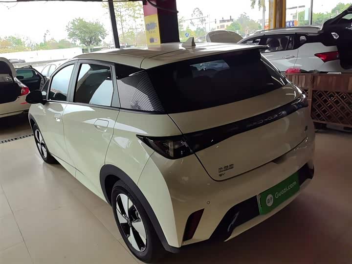 Фото 5 - BYD Dolphin