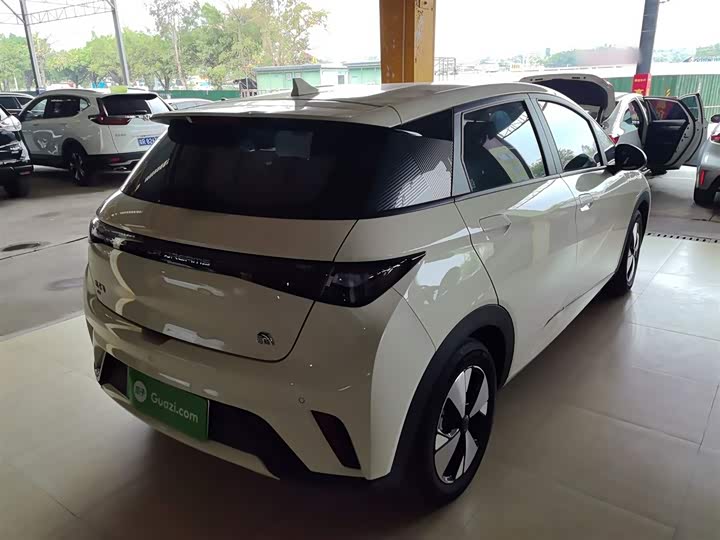 Фото 7 - BYD Dolphin