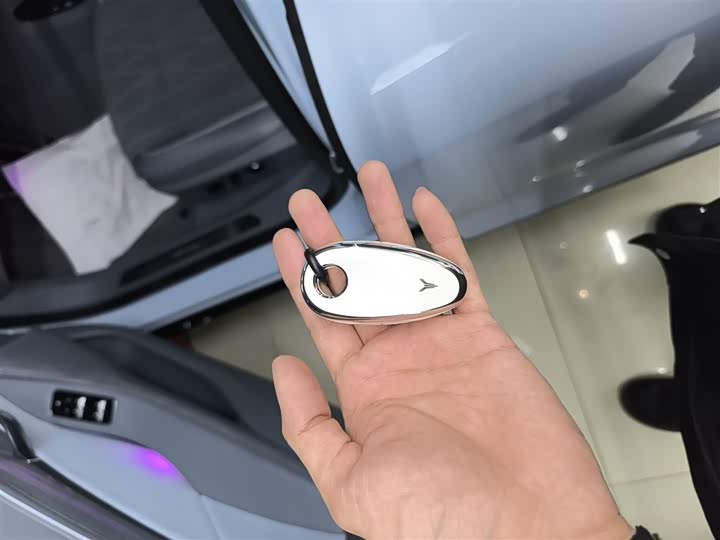 Фото 9 - Voyah Passion