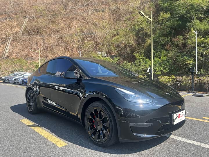 Фото 3 - Tesla Model Y