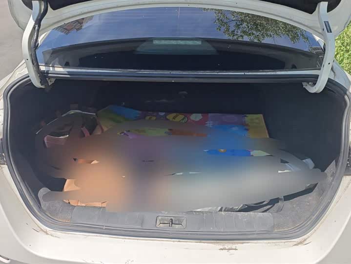 Фото 4 - Nissan Sylphy