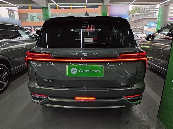 Фото 6 - Wey Lanshan