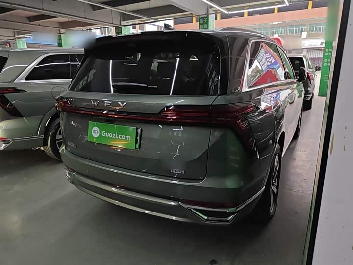 Фото 7 - Wey Lanshan