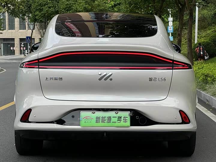 Фото 9 - IM motors LS6